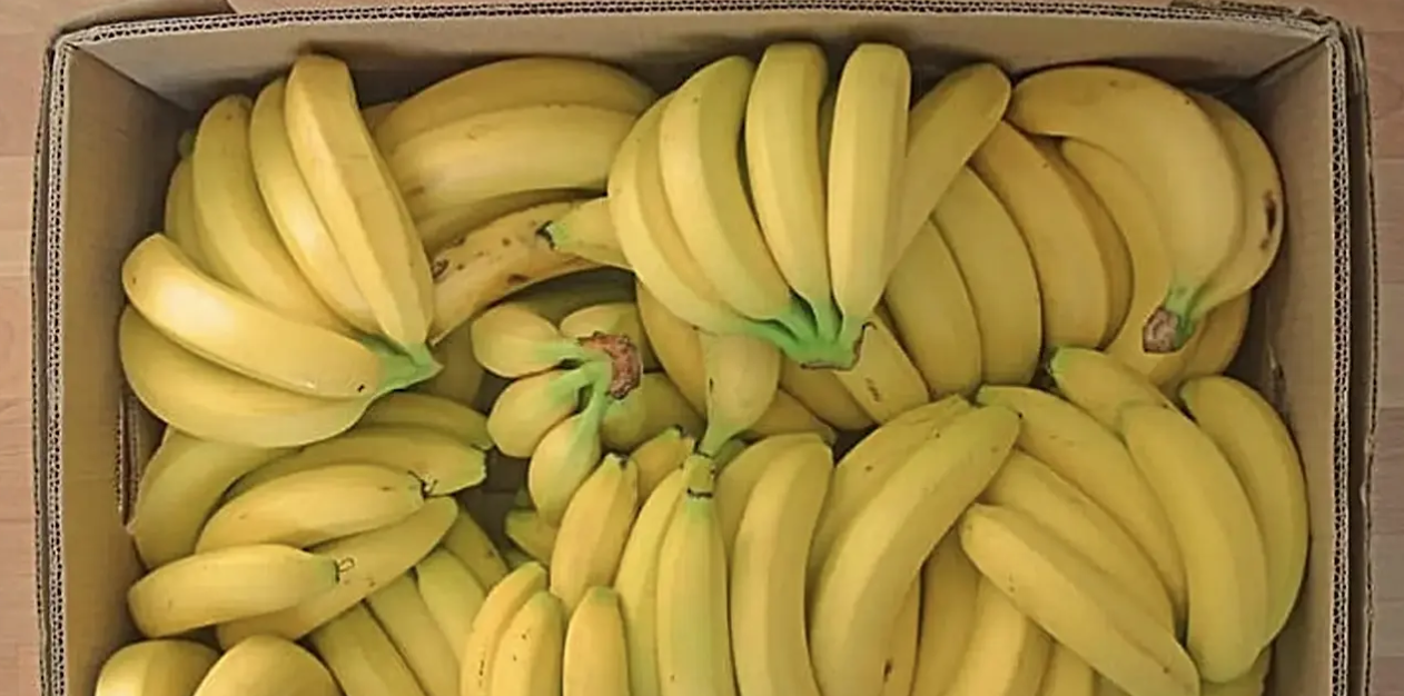 Banana